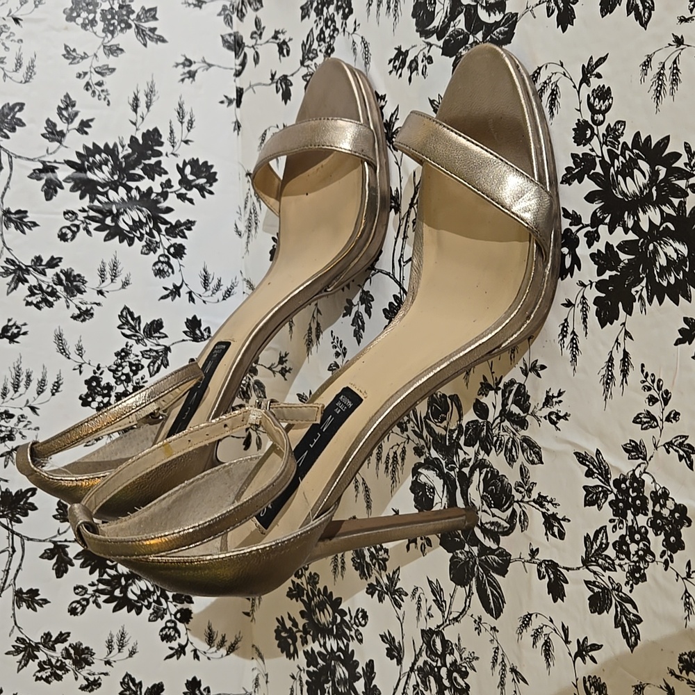 Steven  heel f38